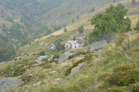 Alpe Cavanna